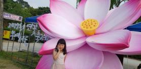 부여 궁남지, 부여서동연꽃축제+정림사지 5층석탑